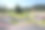 男孩骑kickbike在Järvsö泵轨道图片下载