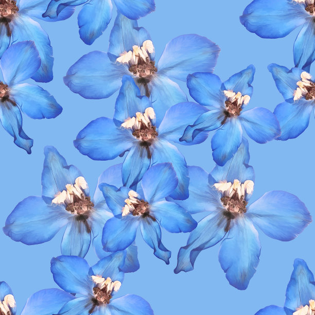 飞燕草,燕草属植物。插图，花的纹理。用于连续复制的无缝模式。花卉背景，照片拼贴为纺织品，棉布面料。用于墙纸、封面、印刷品。图片下载