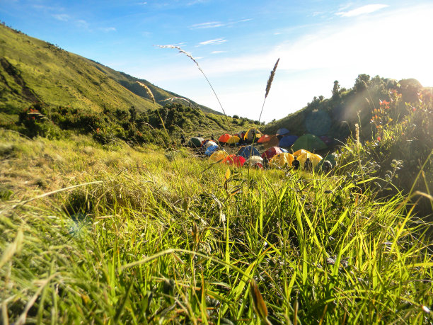 在Merbabu山顶露营海拔3140 masl，中爪哇库存照片图片下载