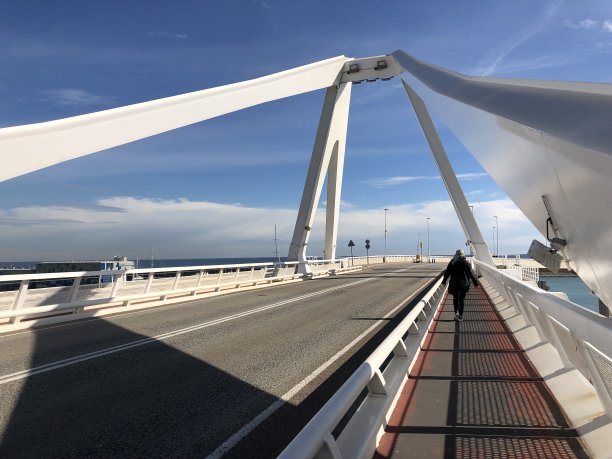 巴塞罗那，加泰罗尼亚，西班牙-桥梁港口邮轮港口图片下载