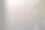 有天竺葵花的树枝。极简主义艺术照片。宏,关闭。图片下载