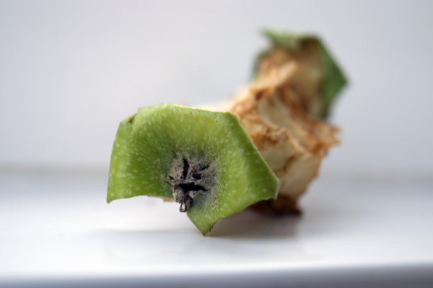 吃了青苹果，留下垃圾。图片下载