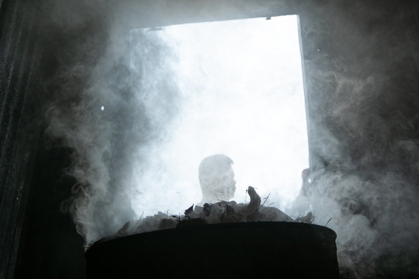 生椰壳煤球图片下载