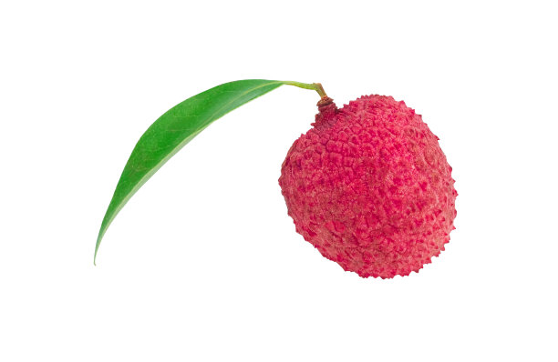 鲜红的荔枝，果实香甜，叶绿。孤立的白色背景与剪辑路径。图片下载