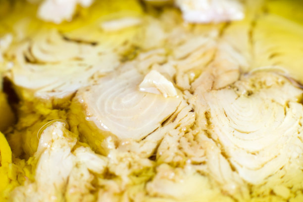 在白色背景油金枪鱼肉罐头。打开罐头，特写照片。图片下载