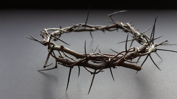 黑色的荆棘王冠图片下载