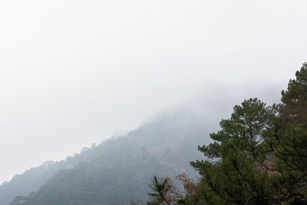 针叶林、山、雾。神秘阴暗的景观。山上覆盖着坚实的云层。图片下载