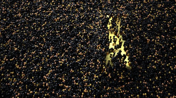 细金条1000g砂图片下载