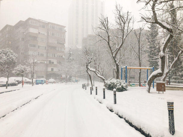 公园和街道在冬天下雪图片下载