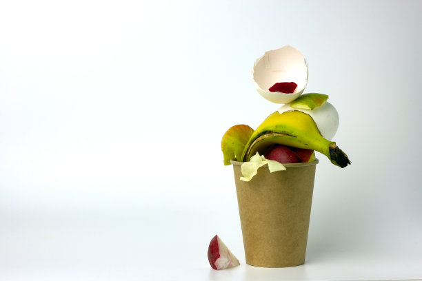 白色背景上的有机垃圾。图片下载