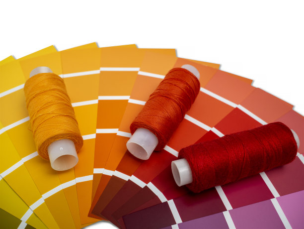 用于决定颜色的调色板颜色映射。油漆样品参考书。为设计器选择线程目录图片下载
