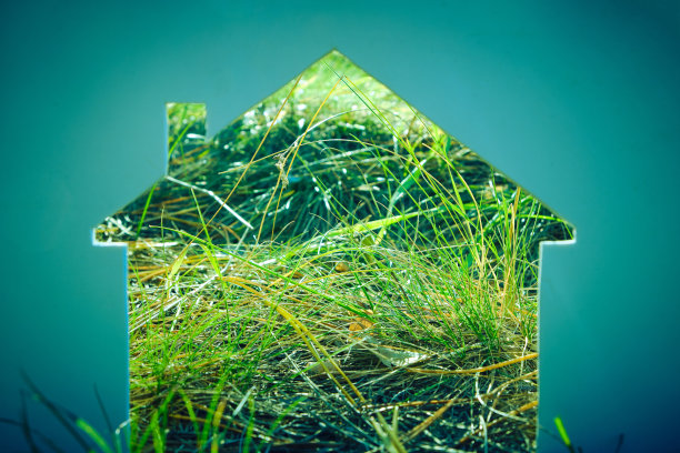 绿草背景上的一座房子的剪影。图片下载