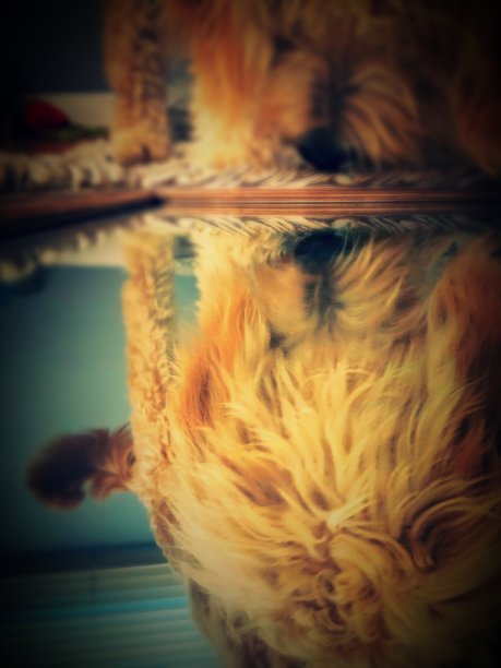 透过玻璃图片下载