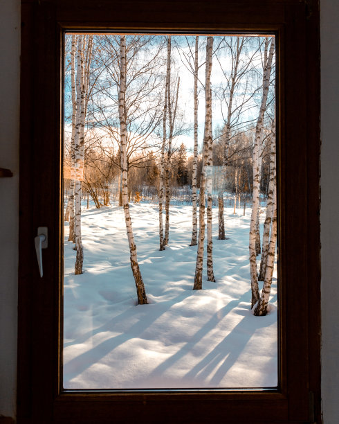 视图通过窗口图片下载