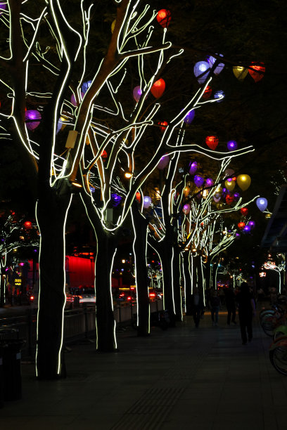美丽的照明树在晚上西安大街上。中国图片下载