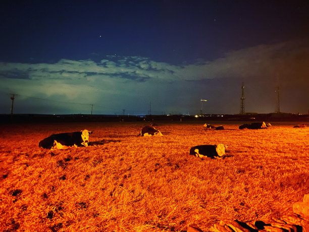 夜间农场图片下载