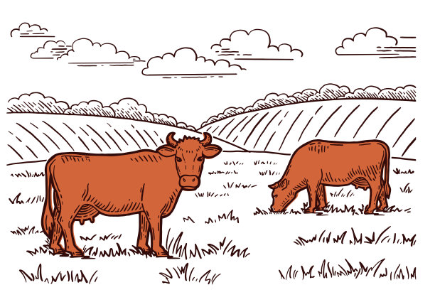 农村景观。牛在草地上吃草。手绘草图。复古风格。颜色向量插图。图片下载