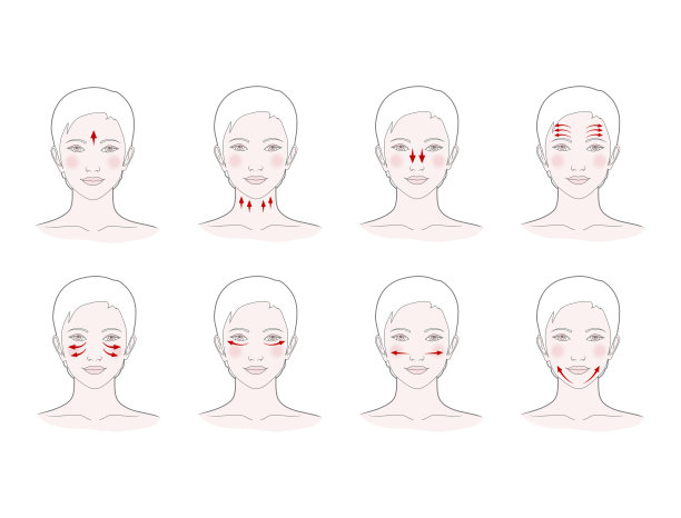 中医按摩用刮痧石。脸部按摩线条，矢量插图图片下载