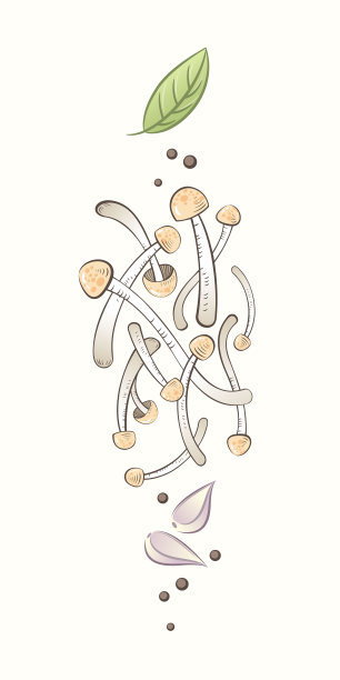 亚洲蘑菇插图。新鲜的野木或Shimeji蘑菇配辛辣的罗勒叶。图片下载