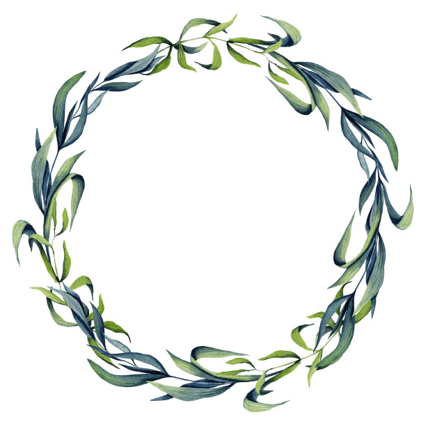 水彩柳叶花环图片下载