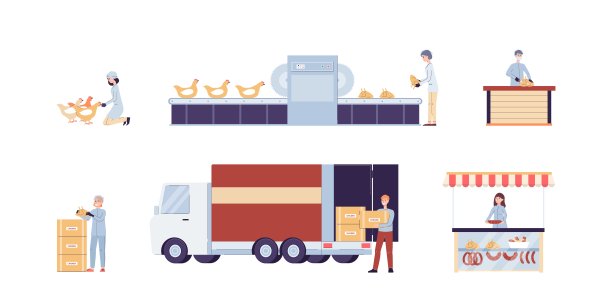 养鸡场，农场为生产肉类和现成产品而种植家禽。图片下载