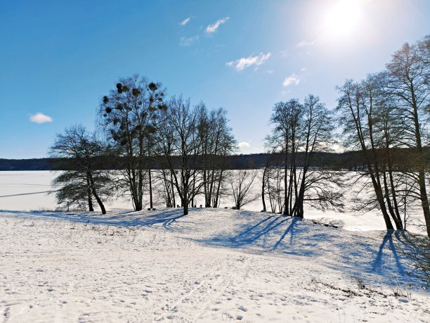 Werbellinsee的海滩图片下载