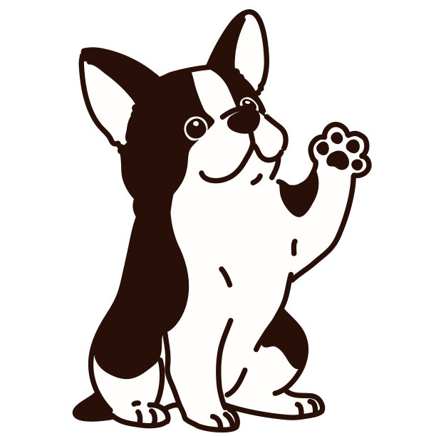 波士顿小猎犬在挥手图片下载