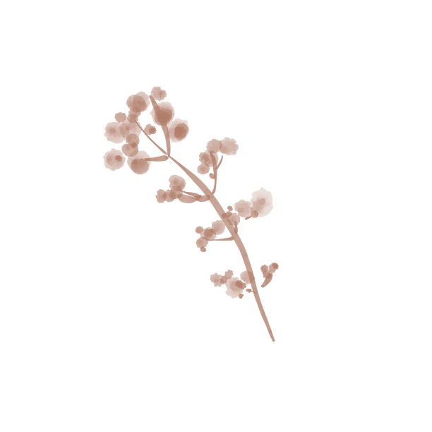 一套水彩植物和花卉，插图设计元素孤立的白色背景。收集用于纺织、墙纸、婚礼、问候或请柬的装饰植物图片下载