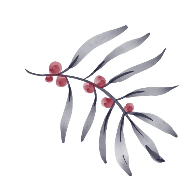 一套水彩植物和花卉，插图设计元素孤立的白色背景。收集用于纺织、墙纸、婚礼、问候或请柬的装饰植物图片下载