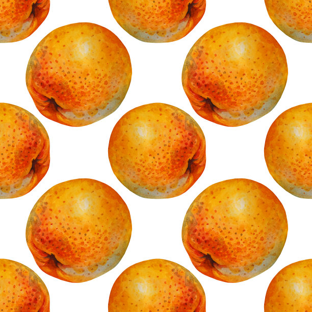 无缝模式水彩柑桔水果橙子孤立在白色背景。手绘食物对象菜单，纺织品，贴纸，包装，卡片图片下载