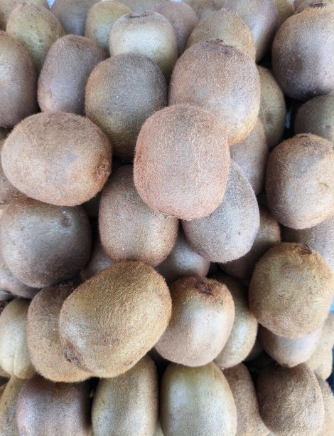 奇异果是一种奇异的水果。这里是一组相同的水果。美味且富含维生素。模板作为背景和纹理很有用图片下载