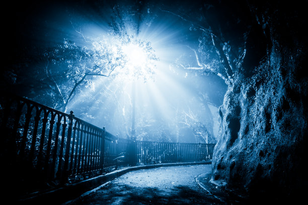 神秘的雾在黑暗的公园与方式的光图片下载