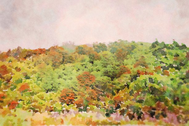 亚热带雨林水彩画图片下载