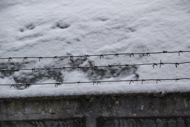 铁丝网上的铁丝网映衬着明亮的背景，在冬天阴天里图片下载