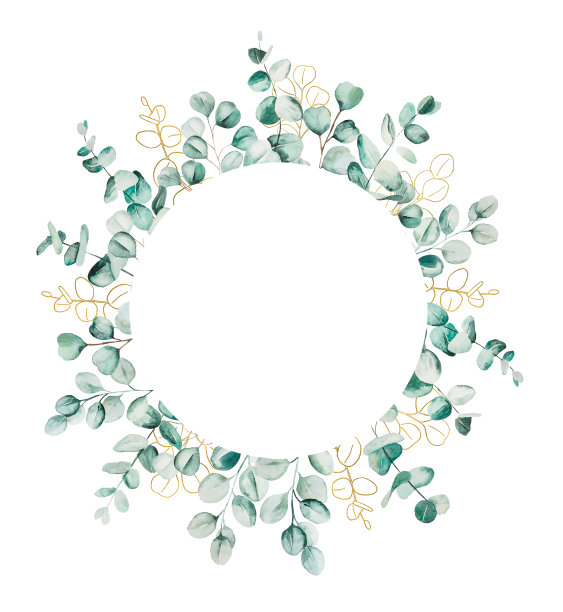 水彩桉叶设置插图图片下载