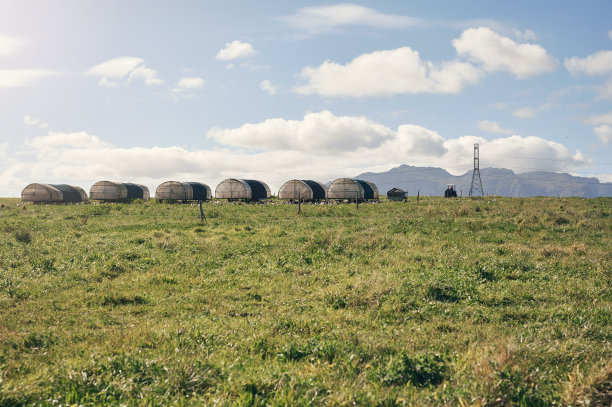 那种每只鸡都梦想着赖以生存的农场图片下载