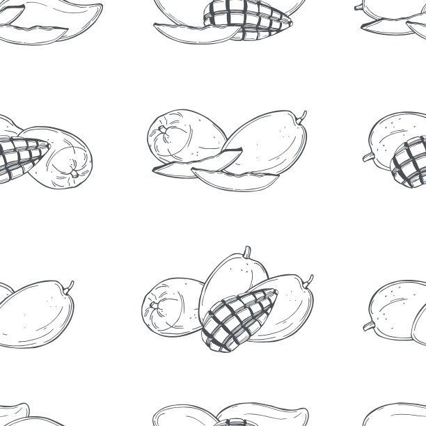 热带水果。矢量图图片下载