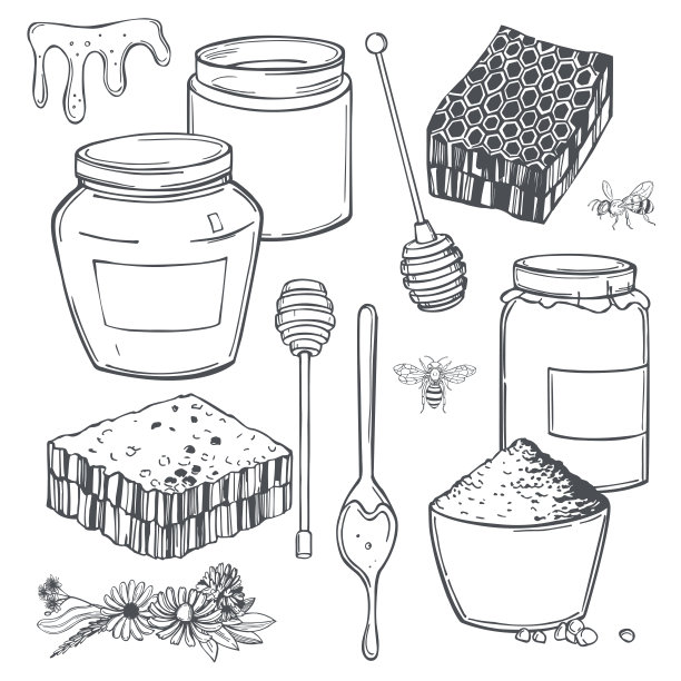蜂蜜。矢量插图。图片下载
