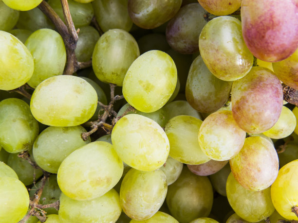 刚收获的果实。有机食品的背景图片下载