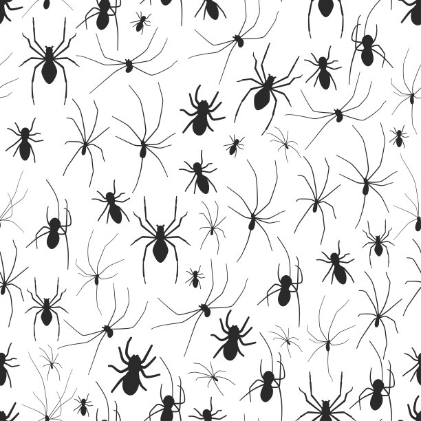蜘蛛矢量无缝模式上的白色背景。图片下载