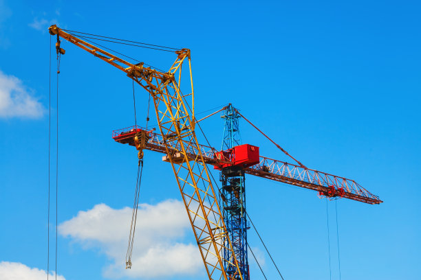 两只鹤，蓝天图片下载