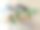 玩具塑料野生动物图片下载