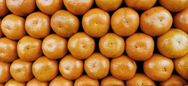 橙色水果自然图片下载
