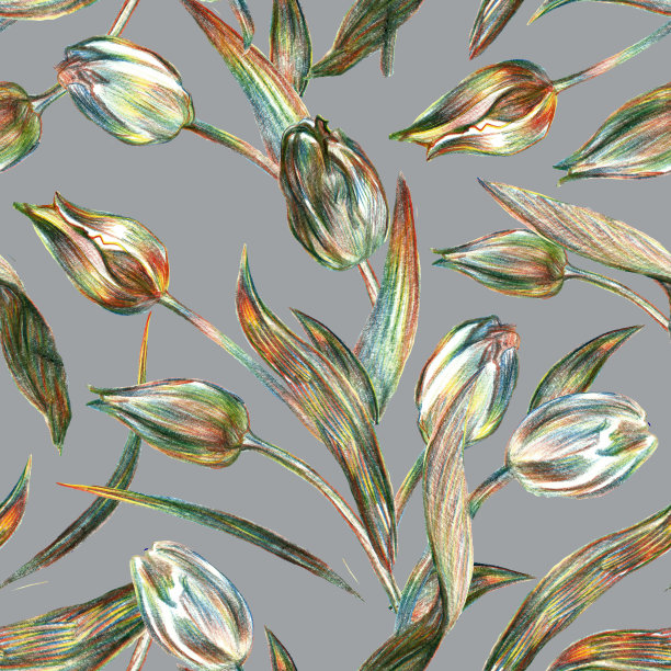 感性的春天的花朵郁金香用彩色铅笔在趋势的大地色调。图片下载