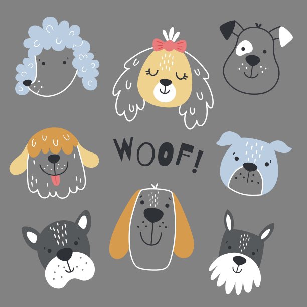 灰色背景上的斯堪的那维亚狗图片下载