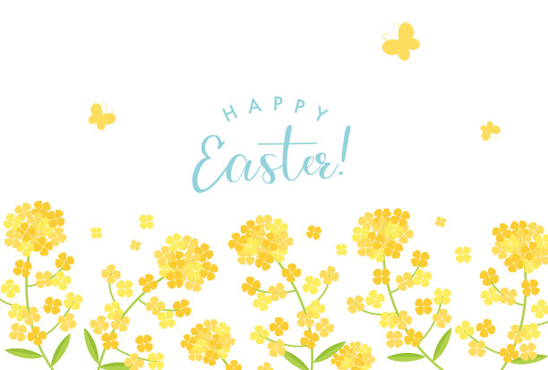 矢量背景与油菜花横幅，卡片，传单，社交媒体壁纸等。图片下载