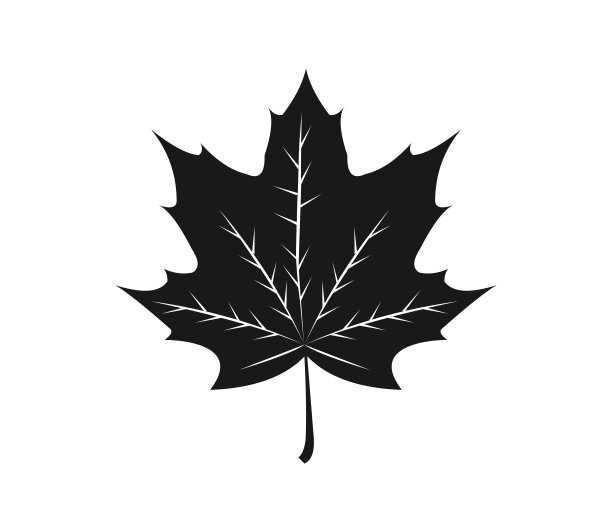 枫叶图标，矢量插图设计标志模板图片下载
