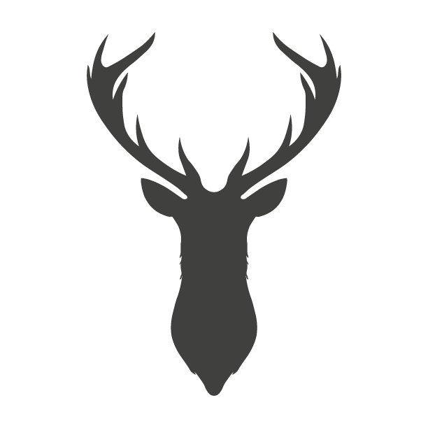 深灰色的轮廓鹿头和鹿角的图标。标志设计的模板。图片下载