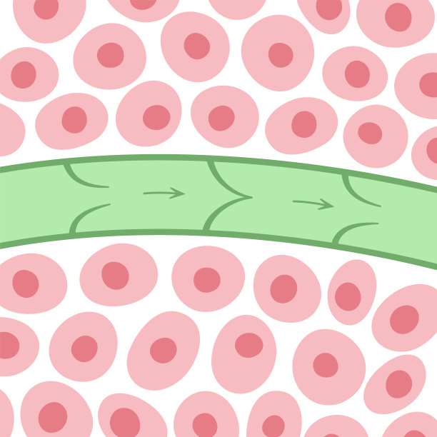 淋巴管的概念图片下载