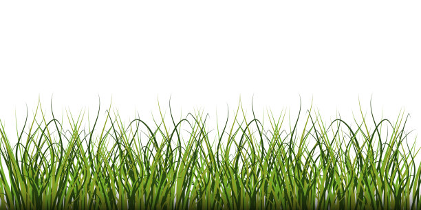 绿色草地的水彩特写。自然背景矢量。平面设计元素。股票的形象。每股收益10。图片下载